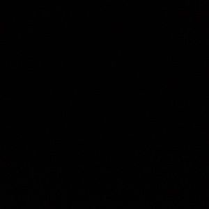 Meet your Posher, Amaya